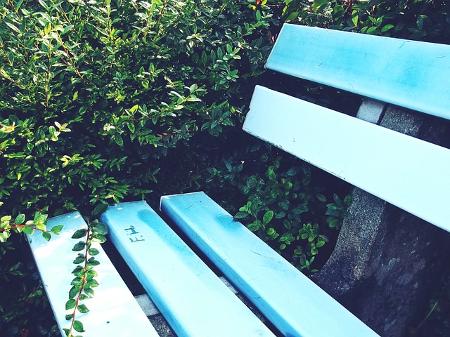 火箭连续胜利，团队士气稳步提升